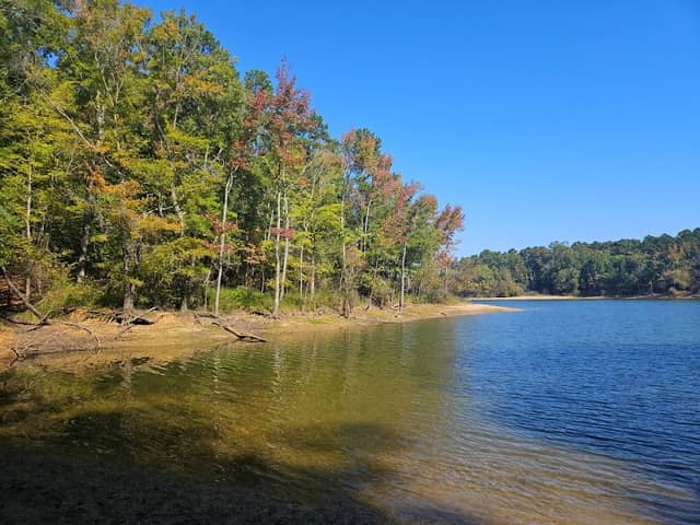 Bullocksville Park - Image 2
