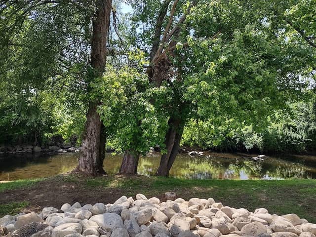 Borough of Hamburg Riverbank Park - Image 1