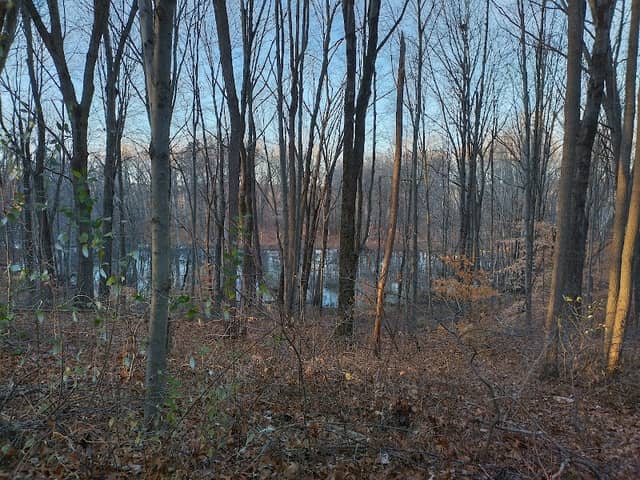 Spirit Springs Sanctuary - Image 2
