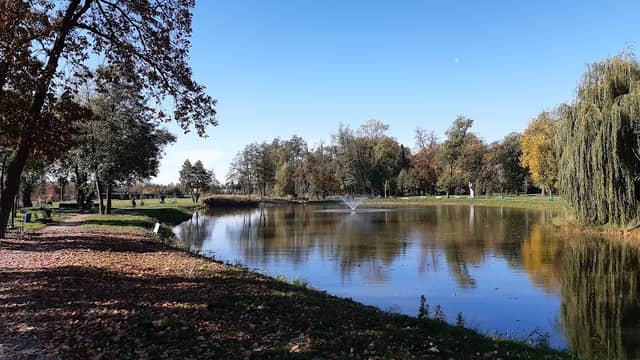 City Park in Grodzisk Wielkopolski - Image 1