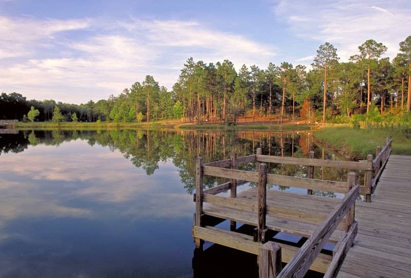 General Coffee State Park - Image 2