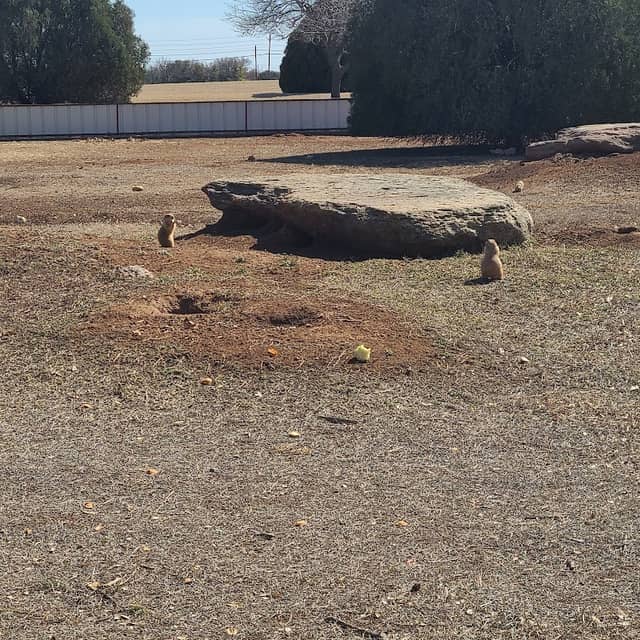 Kiwanis Park - Image 2