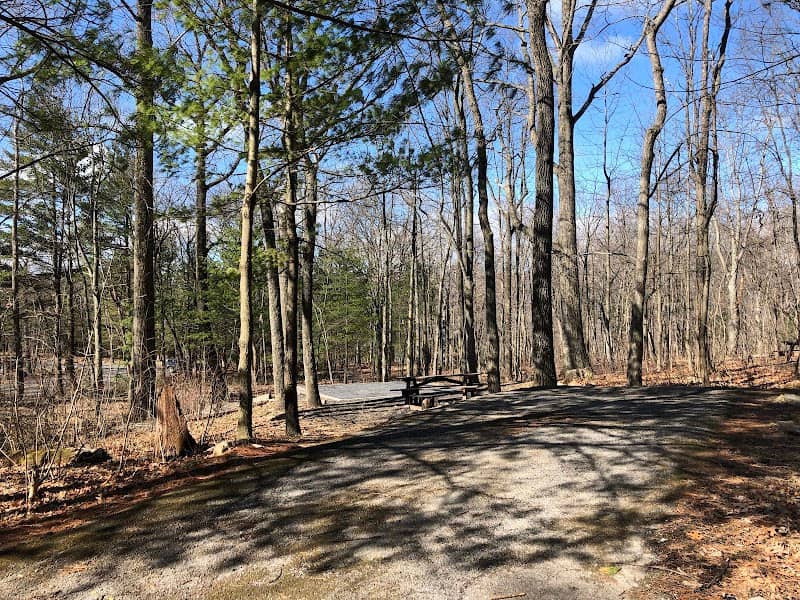 Wolf Gap Recreation Area - Image 2