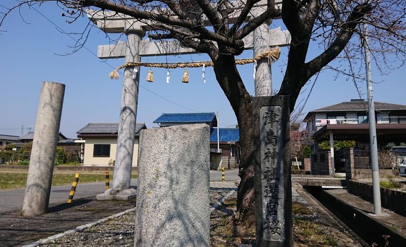 津島神社遷宮桜 - Image 1
