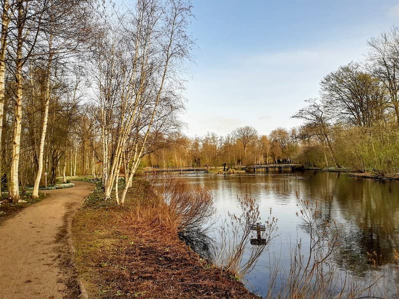 De Braak - Image 1