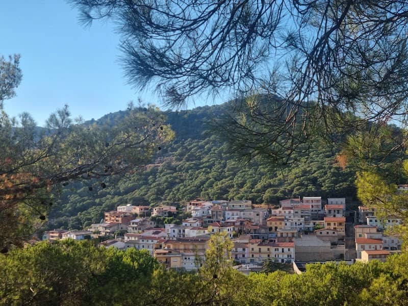 Parco comunale Sa Conca 'e s'Ollastu - Pineta di Arbus - Image 1