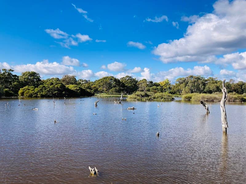 Lake Claremont Birdwatching Gazebo - Image 1