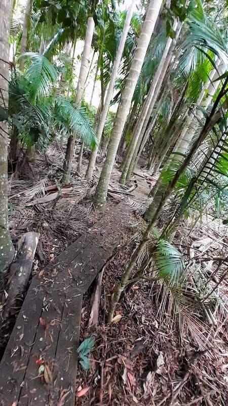 OHIA Court Reserve - Image 1
