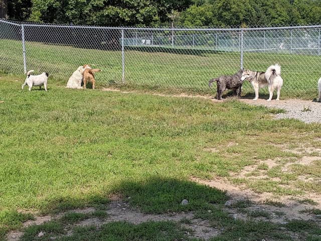 Central Bark, off leash Dog Park - Image 1