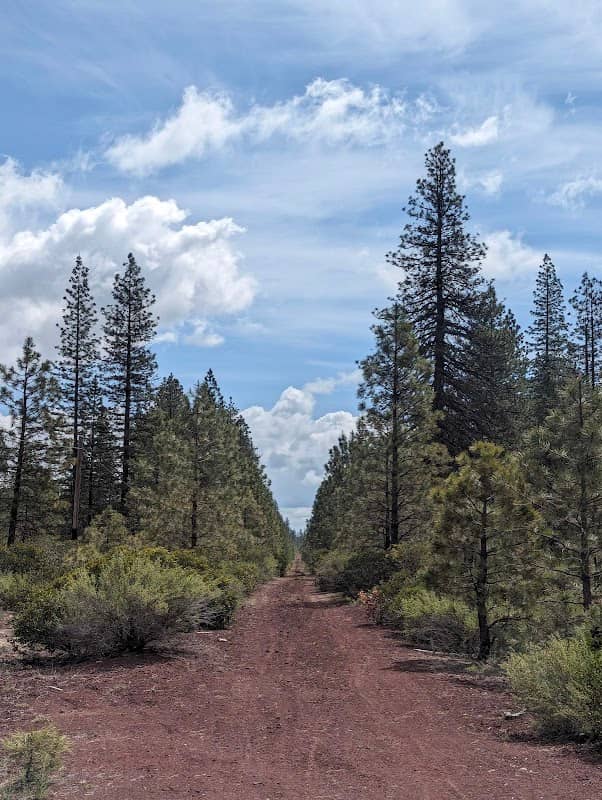 Great Shasta Rail Esparanza Trail Head - Image 1