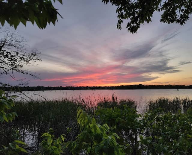 Sunset Park - Image 1