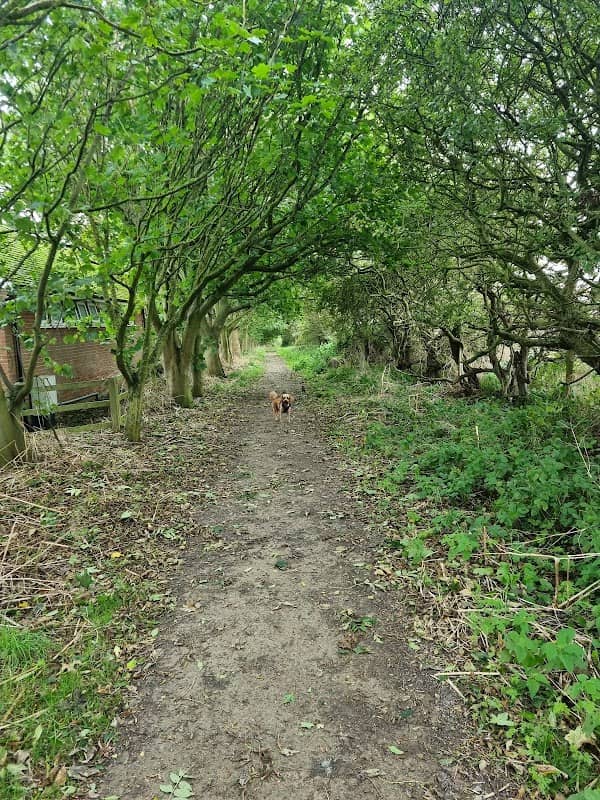 Parish Woods - Image 2