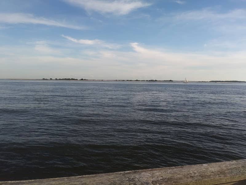 Kingsley Street Park - Image 2