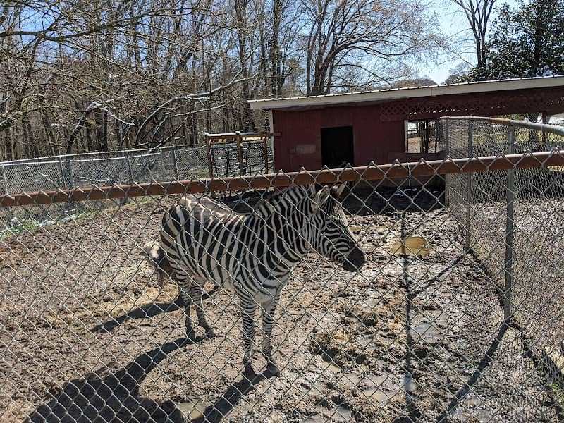 Livermon Park & Mini Zoo - Image 3