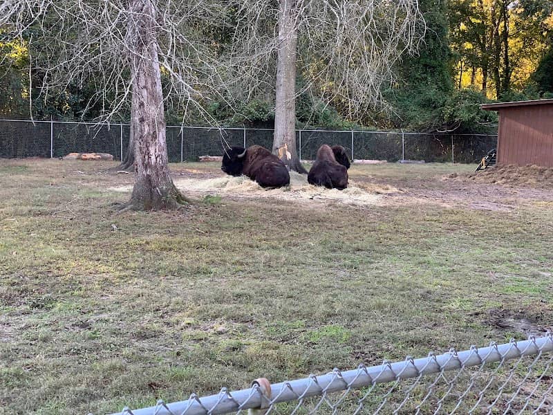 Livermon Park & Mini Zoo - Image 1