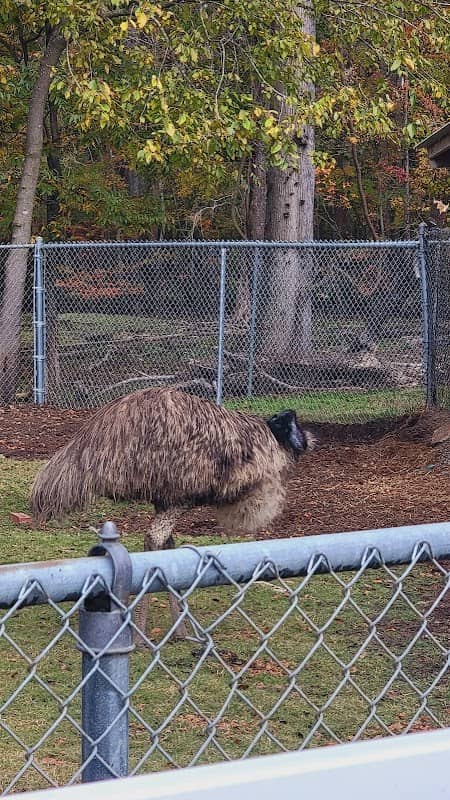Livermon Park & Mini Zoo - Image 2