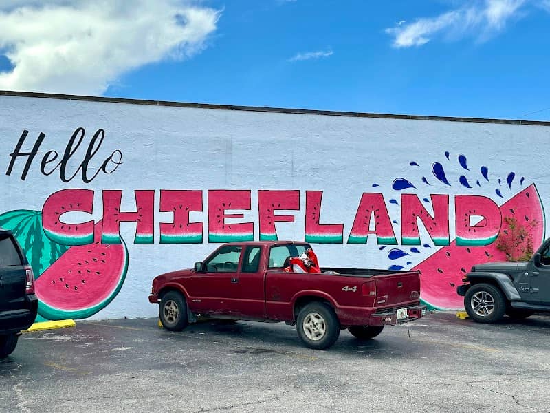 Hello Chiefland Mural - Image 1