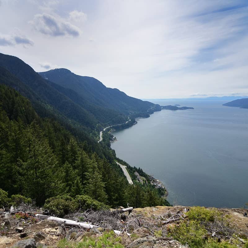 Cosmo Bluff - Image 1