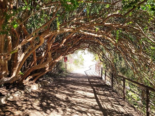 Tunnel - Image 1