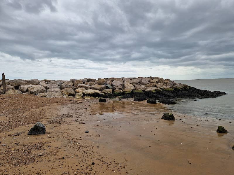 Driftwood beach - Image 1