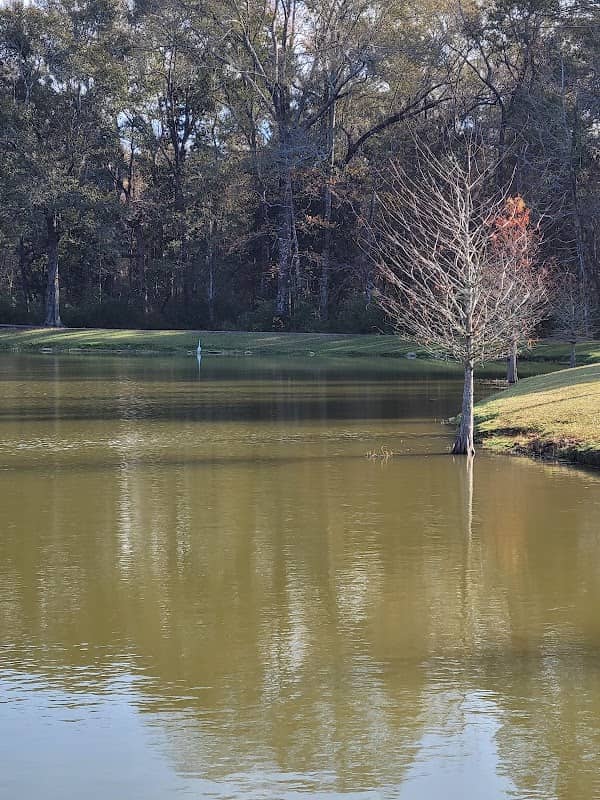 Ponchatoula Area Recreation District 1 - Image 1