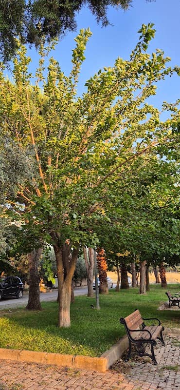Hoşseda Parkı - Image 2