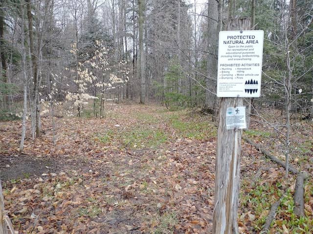 Big Lake Nature Preserve - Image 1