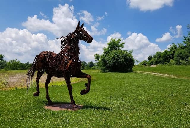 Josephine Sculpture Park - Image 2