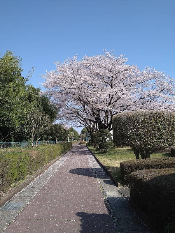 Fureaidori Park - Image 1