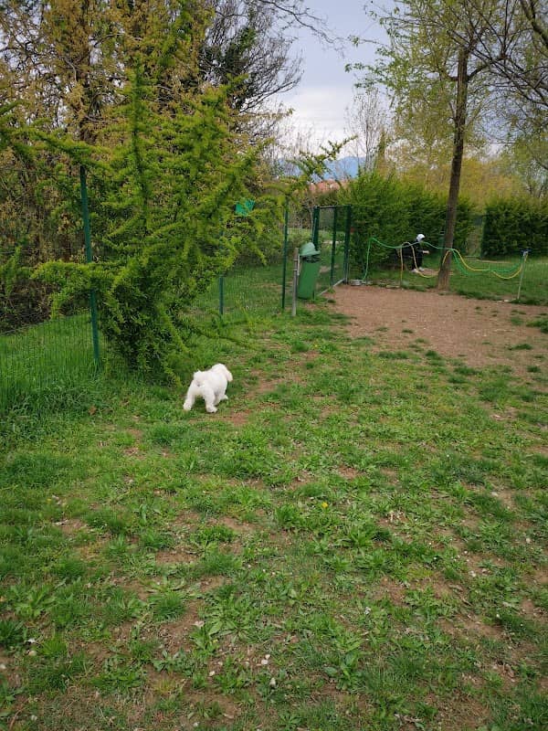 Dog Park Desenzano del Garda - Image 1