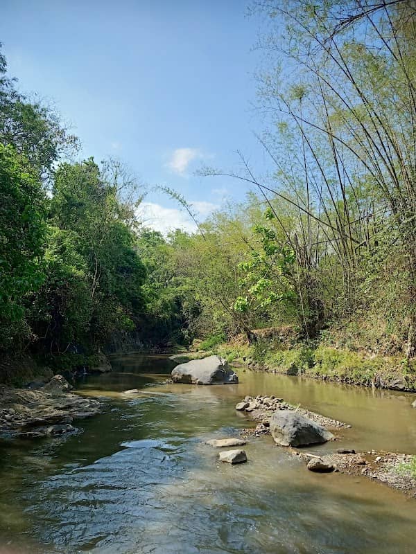 Spot DAM - Image 1