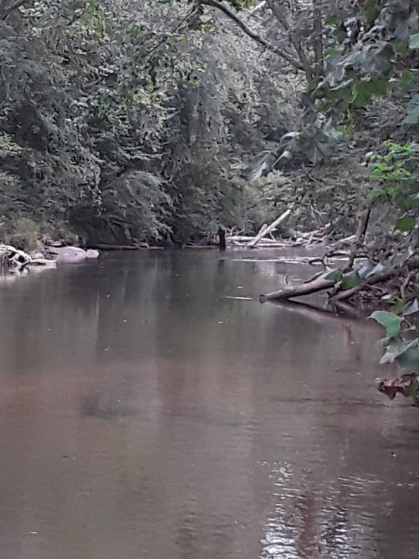 Grays Road River Access - Image 1