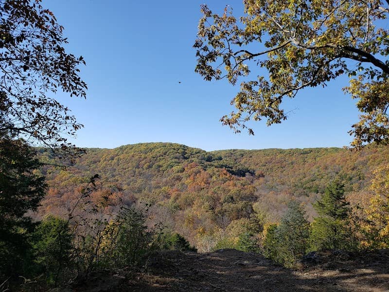 Greensfelder Park - Image 1