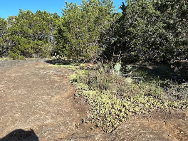 Cedar Elm Cave Preserve - Image 2