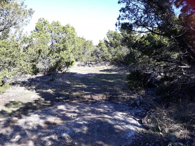 Cedar Elm Cave Preserve - Image 1