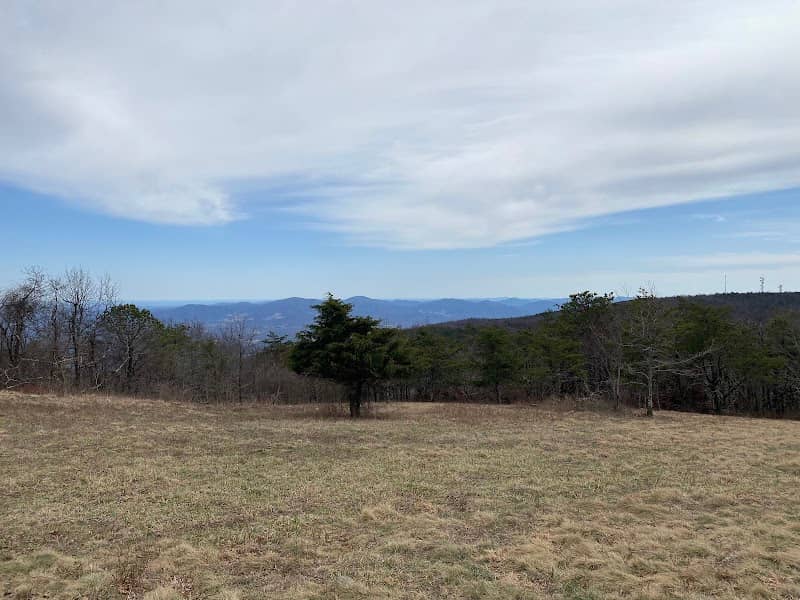 Little Calf Mountain Summit - Image 1