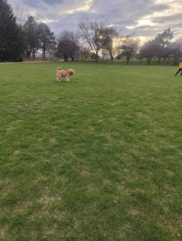 Monarch Park - Image 1