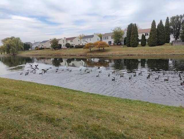 Monarch Park - Image 2