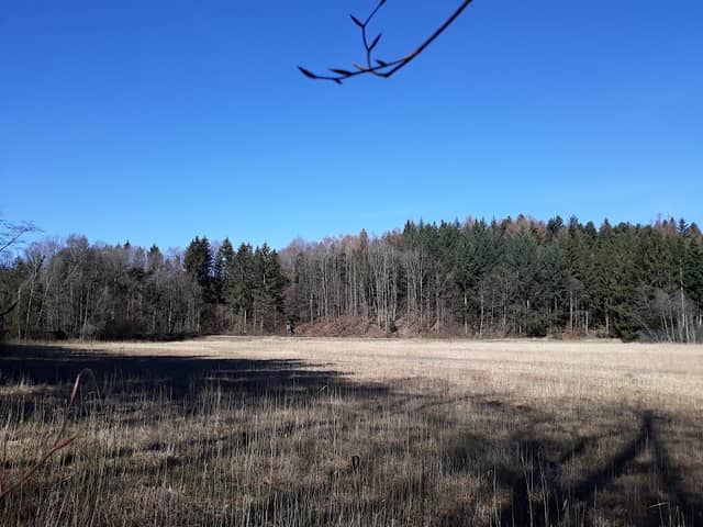 Gemsenweiher Landscape Protection Area - Image 1