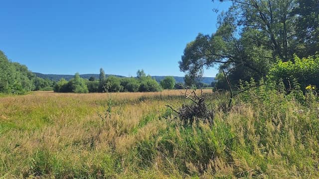 Panzersperrgraben WW2 - Image 2