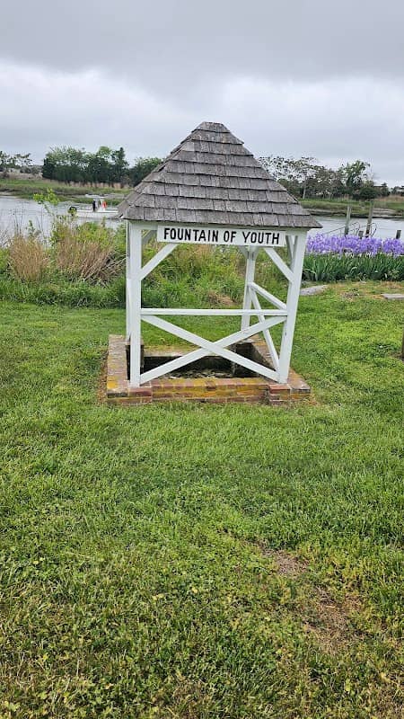 Fountain of Youth - Image 1