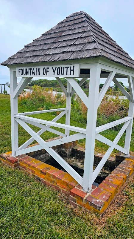 Fountain of Youth - Image 2