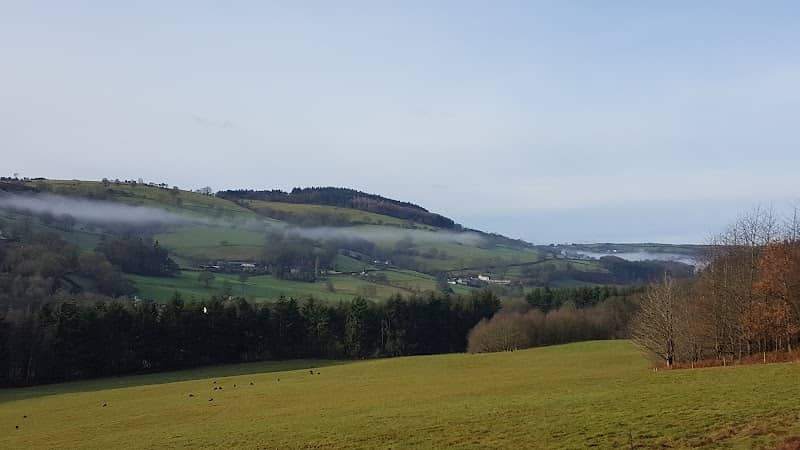 Deer Park - Image 1