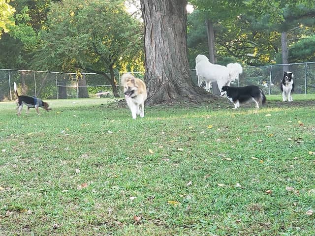 Hillcrest Park - Image 2