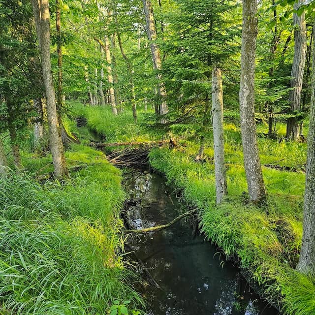 Doepke Recreation Area - Image 2
