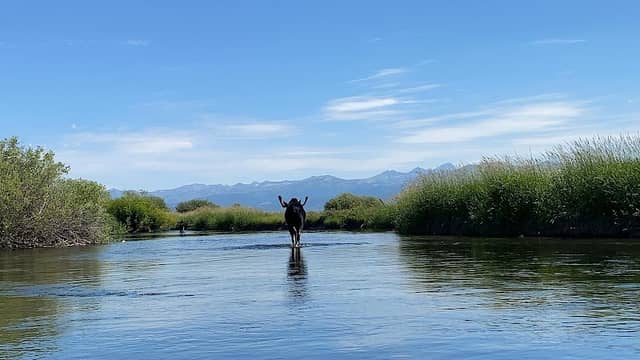 Teton River - Image 1