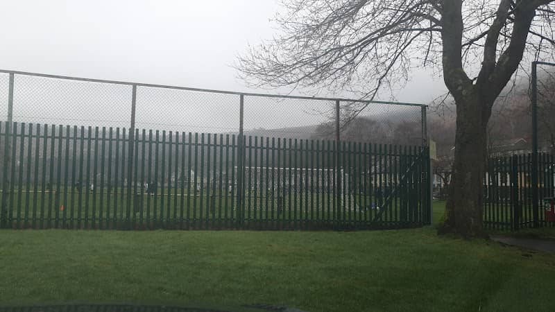 Ynyscynon Park - Image 1