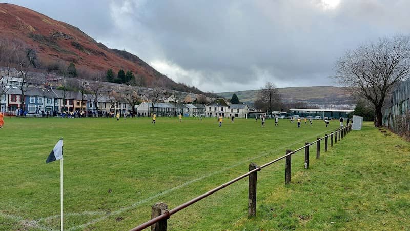 Ynyscynon Park - Image 2