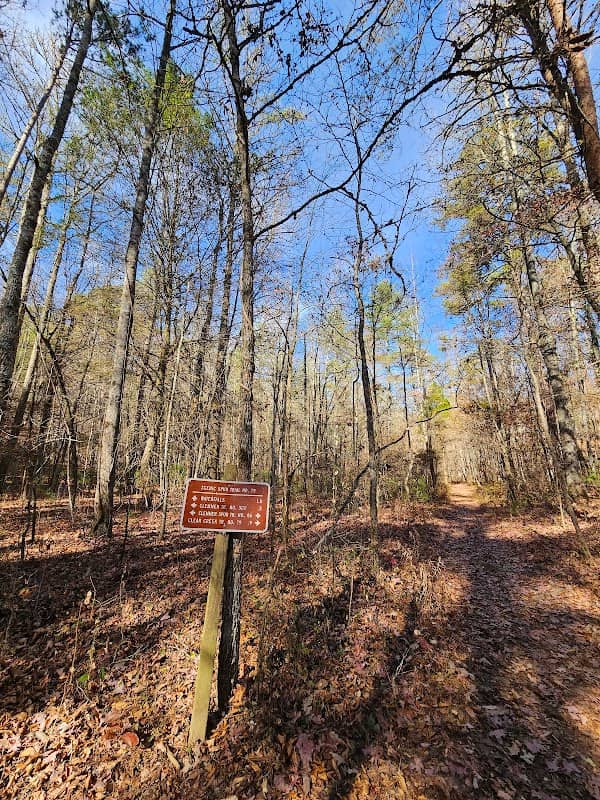 Rainbow Falls (Clemmer Trail) - Image 2