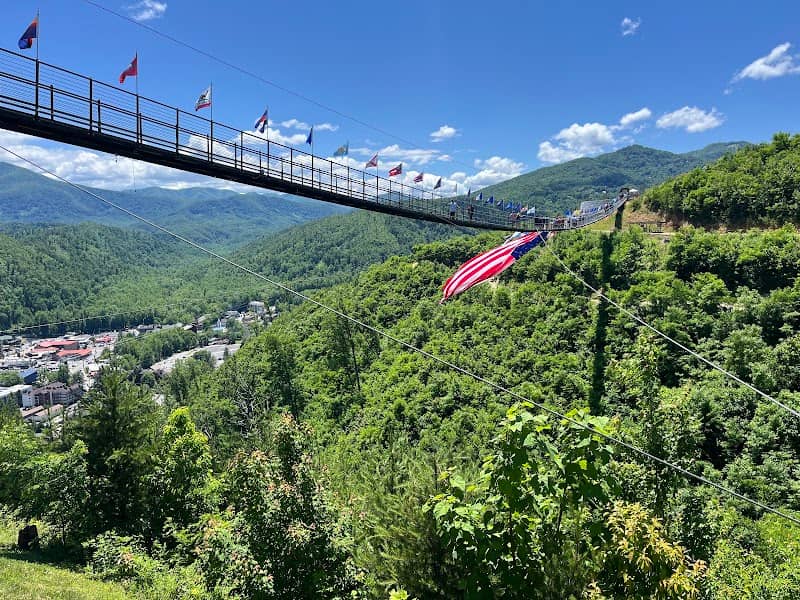 Skybridge - Image 1